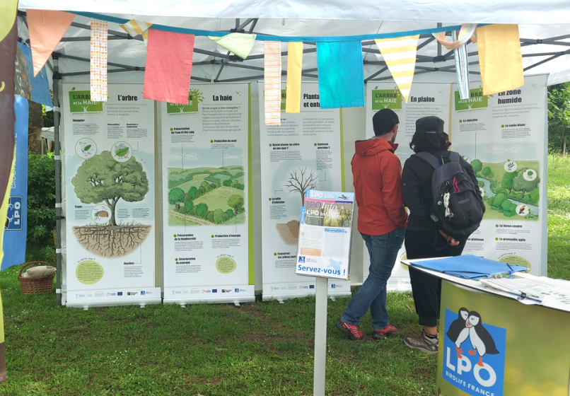 Deux personnes lisent les panneaux d'une exposition sur l'arbre et la haie