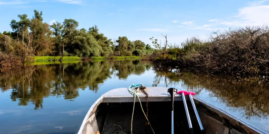 barque sur un chenal dans le Marais de Mazerolles