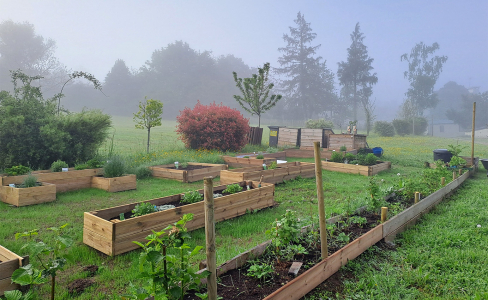 Vue d'un jardin avec un potager en carrés.