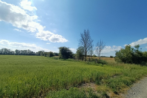Milieu favorable à la Pie-grièche écorcheur
