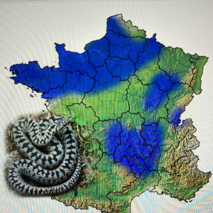 Répartition de la Vipère péliade en France