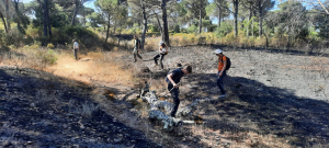 Feu de forêt de Vidauban - Audrey Dubern