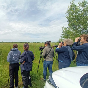 Groupe de personne durant le suivi “Pie-grièche” lors du week-end naturaliste du 24 au 26 mai 2024