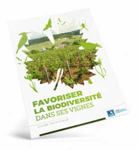 Guide technique “Favoriser la biodiversité dans les vignes”
