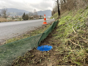 Route équipée temporairement de filets