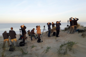 groupe d'observateurs &agrave; la jumelle sur une dune