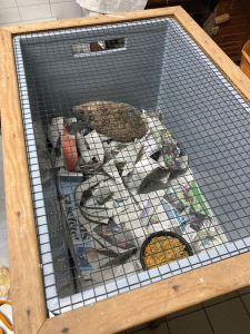 Les nouveaux caissons de soins ont d&eacute;j&agrave; des locataires... - CRSFS LPO PACA