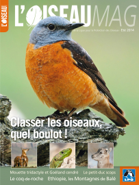 Couverture revue l'OISEAU MAG n°115