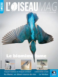 Couverture revue l'OISEAU MAG n°140