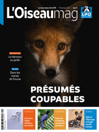couverture du dernier OISEAU MAG