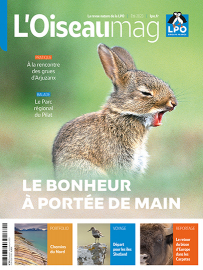 couverture du dernier OISEAU MAG