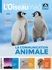couverture du dernier OISEAU MAG