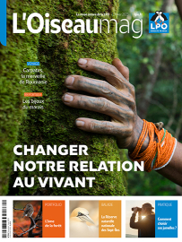 couverture du dernier OISEAU MAG
