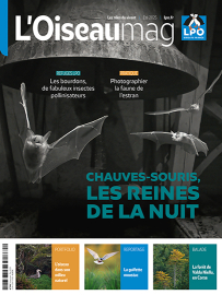 couverture du dernier OISEAU MAG