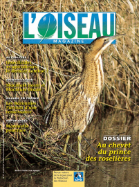couverture Revue L'OISEAU MAGAZINE n°77