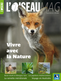 Couverture revue l'OISEAU MAG n°135