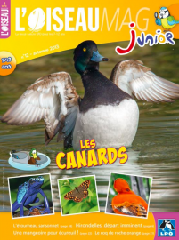 Couverture de l'OISEAU MAG JUNIOR n°12