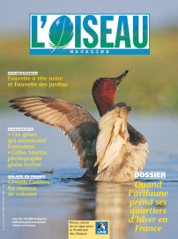 couverture Revue L'OISEAU MAGAZINE n°72