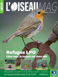 Couverture revue L'OISEAU MAG n°142