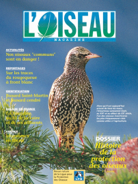 couverture Revue L'OISEAU MAGAZINE n°67