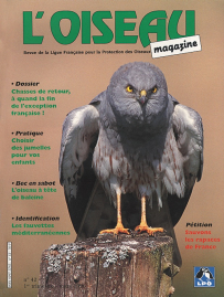 couverture Revue L'OISEAU MAGAZINE n°42