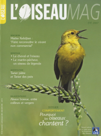 Couverture revue l'OISEAU MAG n°87