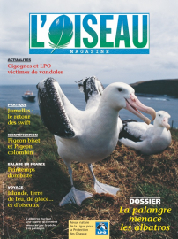 couverture Revue L'OISEAU MAGAZINE n°62