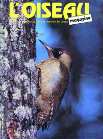 couverture Revue L'OISEAU MAGAZINE n°12