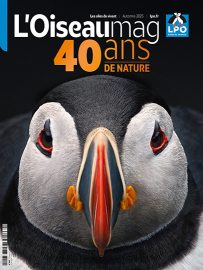 Couverture du magazine de la LPO L'OISEAU MAG avec un macareux moine pour les 40 ans de la revue