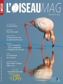 couverture Revue L'OISEAU MAGAZINE n°82