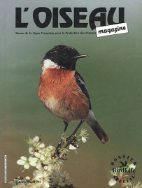 couverture Revue L'OISEAU MAGAZINE n°32