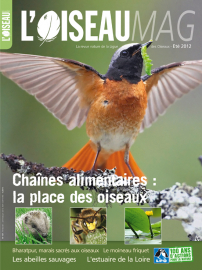 Couverture revue l'OISEAU MAG n°107