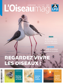 Couverture de L'OISEAU MAG, magazine de la LPO, n°162 sur l'éthologie : Regardez vivre les oiseaux !
