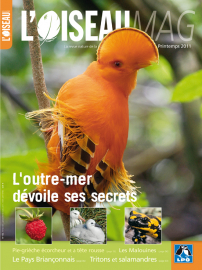 Couverture revue l'OISEAU MAG n°102