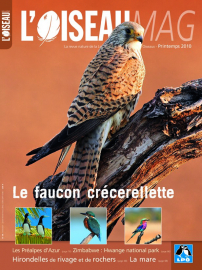 couverture Revue L'OISEAU MAGAZINE n°98