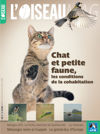 Couverture revue L'OISEAU MAG n°144