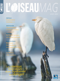 couverture Revue L'OISEAU MAGAZINE n°93