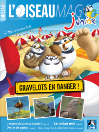 Couverture de l'OISEAU MAG JUNIOR n°46