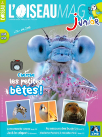 Couverture de l'OISEAU MAG JUNIOR n°31