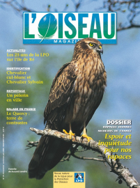couverture Revue L'OISEAU MAGAZINE n°79
