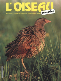 couverture Revue L'OISEAU MAGAZINE n°29