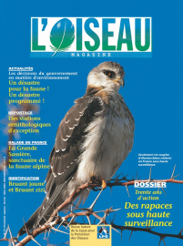 couverture Revue L'OISEAU MAGAZINE n°74