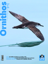 couverture ornithos