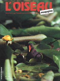 couverture Revue L'OISEAU MAGAZINE n°19