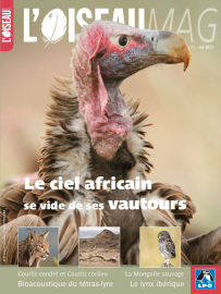 Couverture revue L'OISEAU MAG n°127