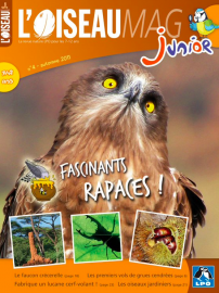 Couverture de l'OISEAU MAG JUNIOR n°4