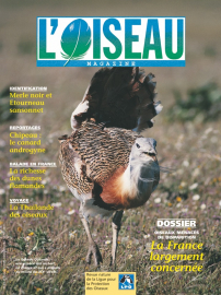 couverture Revue L'OISEAU MAGAZINE n°64