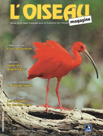 couverture Revue L'OISEAU MAGAZINE n°39
