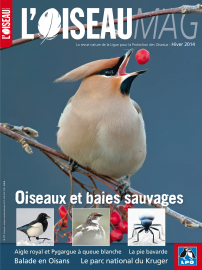 Couverture revue l'OISEAU MAG n°117