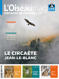 Couverture de l'OISEAU MAG - Rapaces de France n°25 - dossier le circaète Jean-le-Blanc